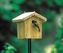 Wren House w/Chickadee